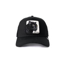PANTHER BLACK
