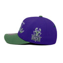 Mitchell & Ness | Milwaukee Bucks