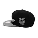 Mitchell & Ness | Las Vegas Raiders