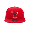 Mitchell & Ness | Chicago Bulls