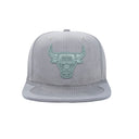 Mitchell & Ness | Chicago Bulls