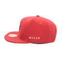 Mitchell & Ness | Chicago Bulls