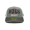 LOONEY TUNES | SOFT BUGS