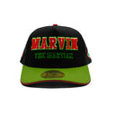 LOONEY TUNES | SOFT MARVIN