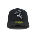 LOONEY TUNES SILVER - CORRECAMINOS