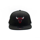 AUTHENTIC | NBA CHICAGO BULLS