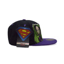 SUPERMAN BIG | LEX LUTHOR