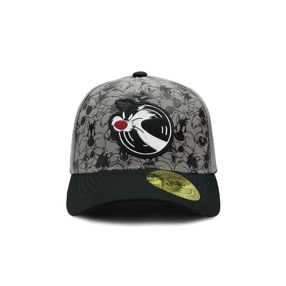 looney tunes new wave | Silvestre