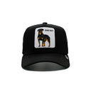 BAD BOY ROTTWEILER