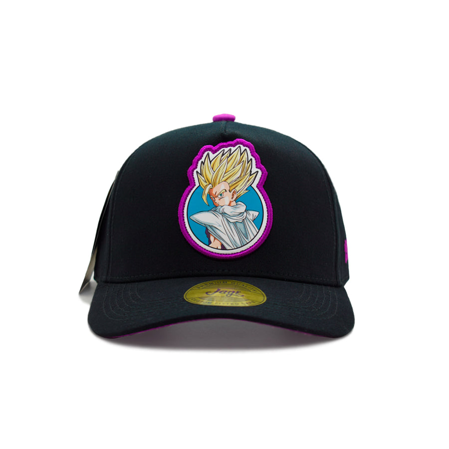 Great Warriors vol 2 | Gohan