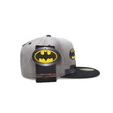 Bat Family | Batman