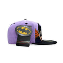 Bat Family | Batgirl