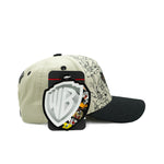 looney tunes new wave | coyote