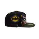 Bat Family | Robin